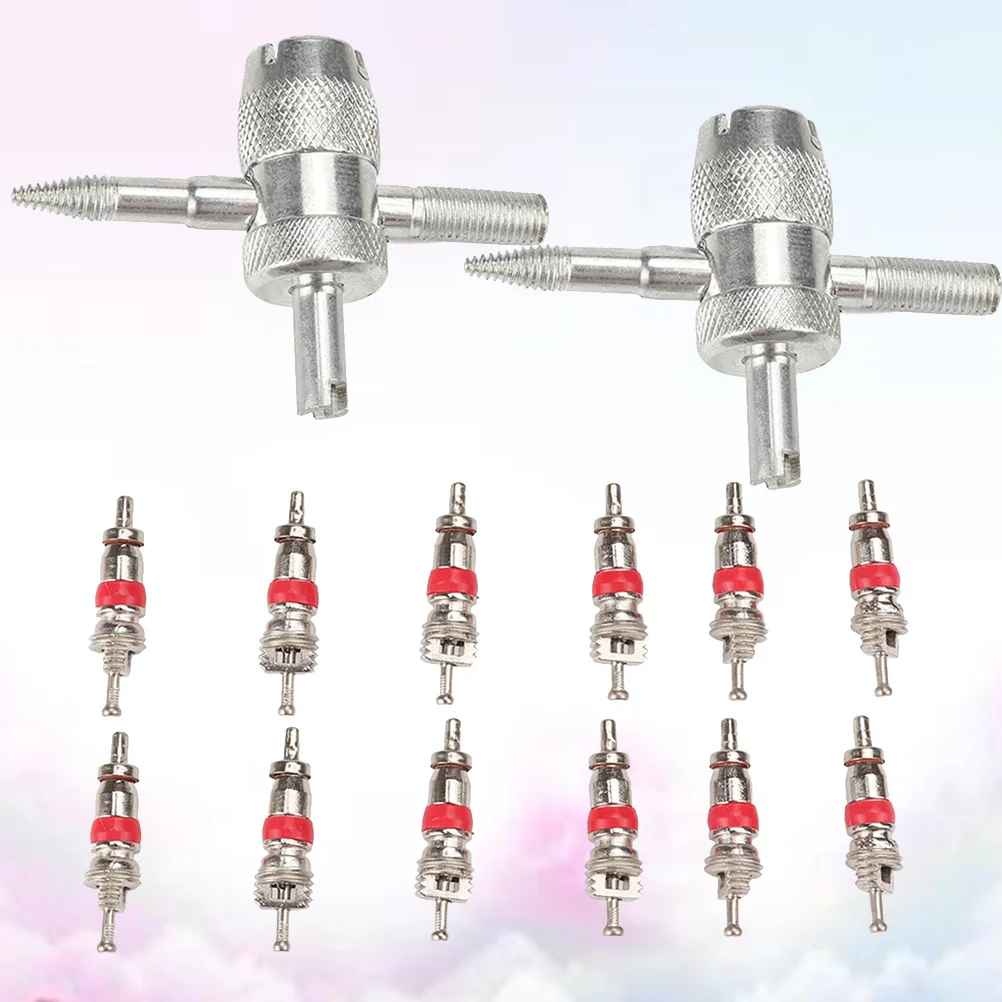12pcs Tire Valve Core Tool Set Stainless Steel For Auto Repair Maintenance Car Truck Motorcycle Tire Detaching Tools
12pcs Tire Valve Core Tool Set Stainless Steel For Auto Repair Maintenance Car Truck Motorcycle Tire Detaching Tools