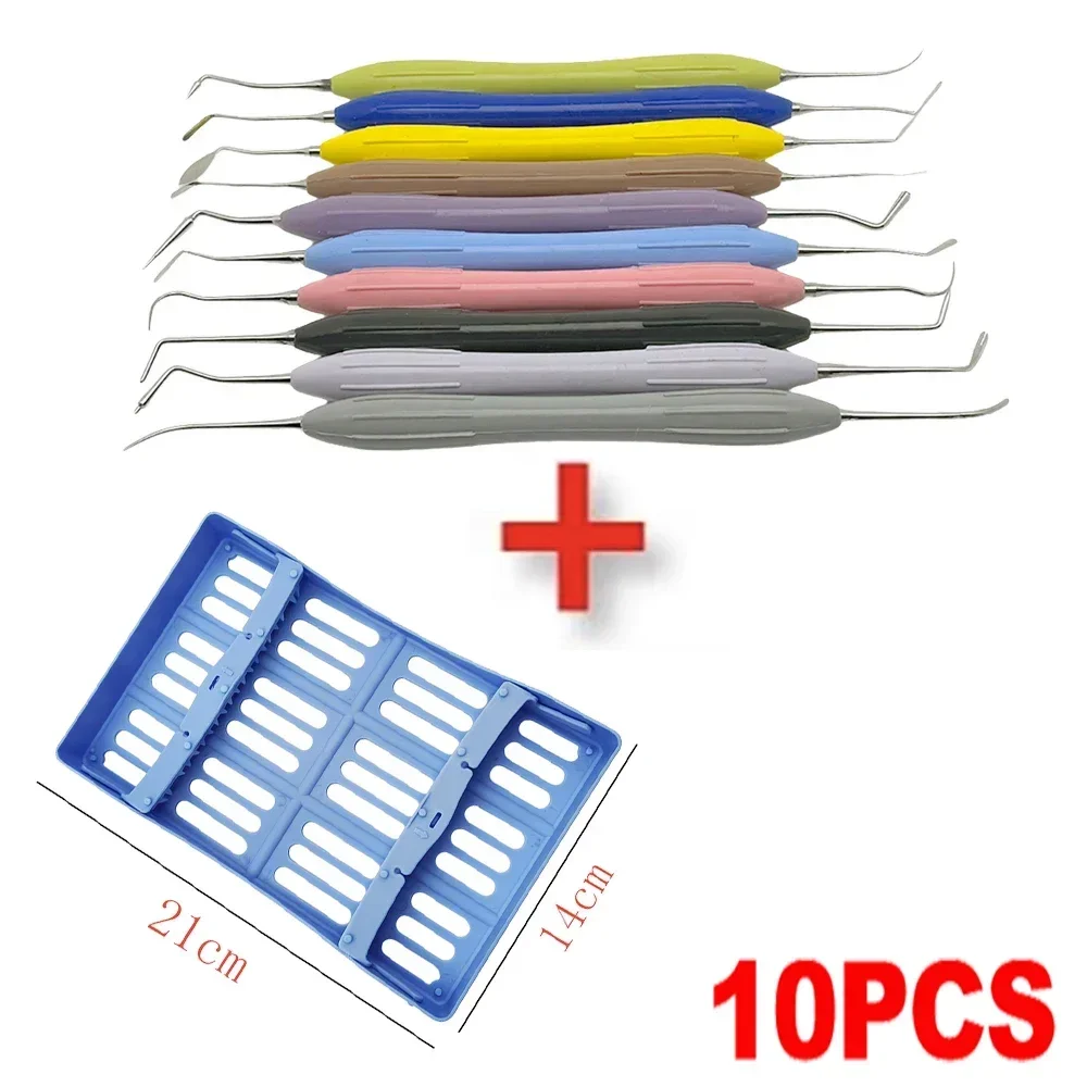 10Pcs/set Dental Resin Filled Restorative Instrument Filler Aesthetic Restoration Knife Silicone Handle Dentistry Lab Tools
10Pcs/set Dental Resin Filled Restorative Instrument Filler Aesthetic Restoration Knife Silicone Handle Dentistry Lab Tools