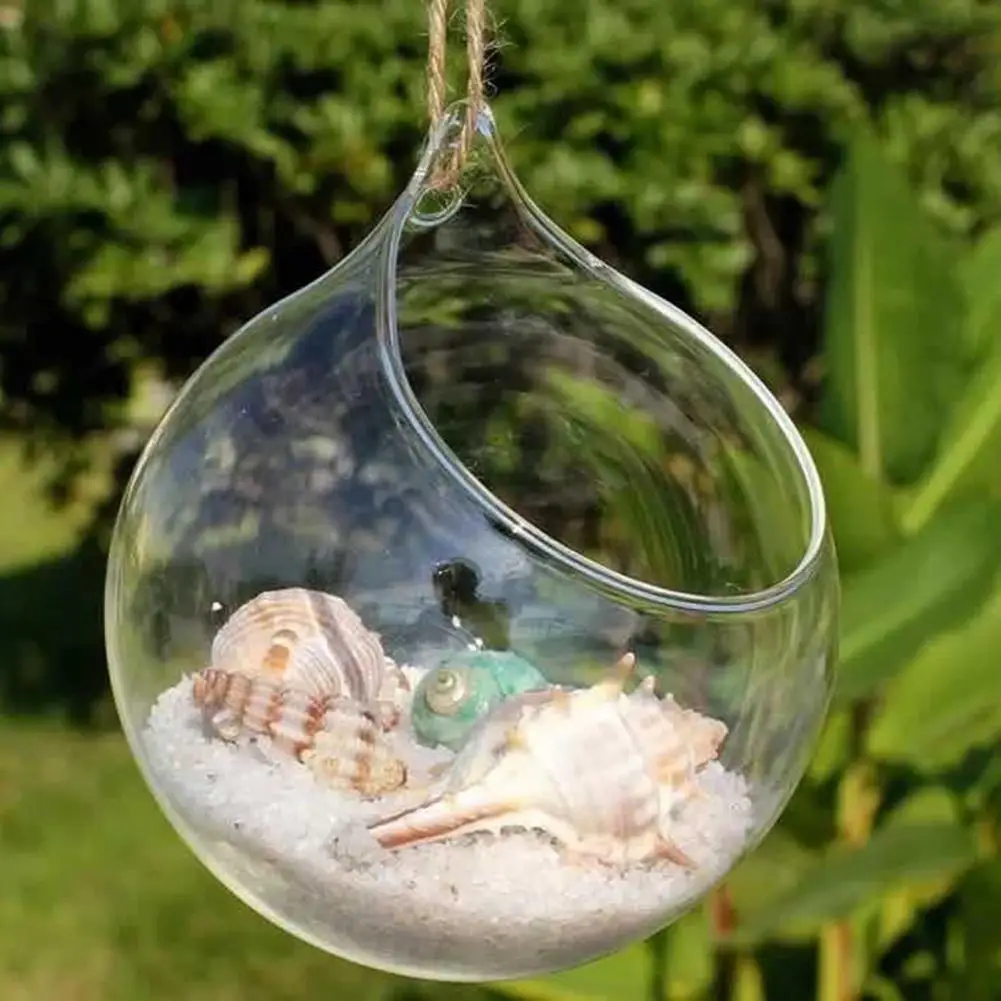 Hanging Glass Propagation Station Clear Terrarium Planter for Flowers Air Hydroponic Plants Small Indoor Flower Vase for Home Ro
Hanging Glass Propagation Station Clear Terrarium Planter for Flowers Air Hydroponic Plants Small Indoor Flower Vase for Home Ro