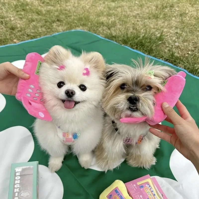 Ins Puppy Toy Cute Simulation Mobile Phone Dog Nose Interaction Toy Squeak Stuffed Toy Simulation Hand Puppy Accessories
Ins Puppy Toy Cute Simulation Mobile Phone Dog Nose Interaction Toy Squeak Stuffed Toy Simulation Hand Puppy Accessories
