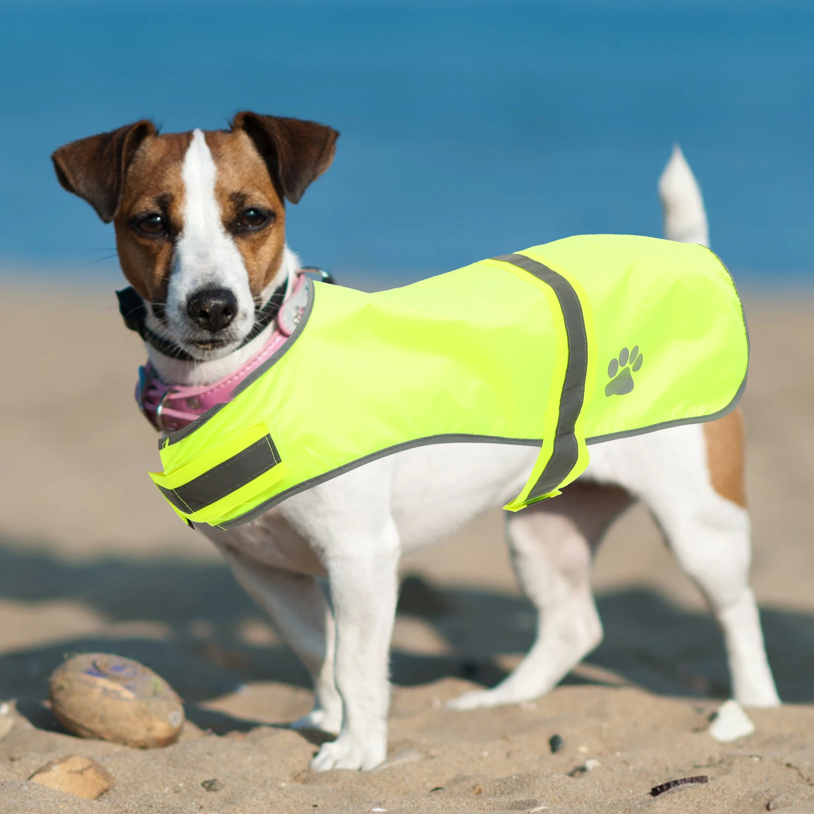 Pet Reflective Oxford Cloth Dog Safety Vests for Dog Vests For Large Dogs Small Large Dogs Gear
Pet Reflective Oxford Cloth Dog Safety Vests for Dog Vests For Large Dogs Small Large Dogs Gear