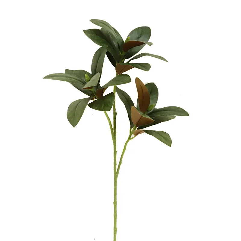 Artificial Green Plants 3D Printing with Fruit Magnolia Leaves Office Decor Simulation Magnolia Leaf Plant Study Decoration
Artificial Green Plants 3D Printing with Fruit Magnolia Leaves Office Decor Simulation Magnolia Leaf Plant Study Decoration