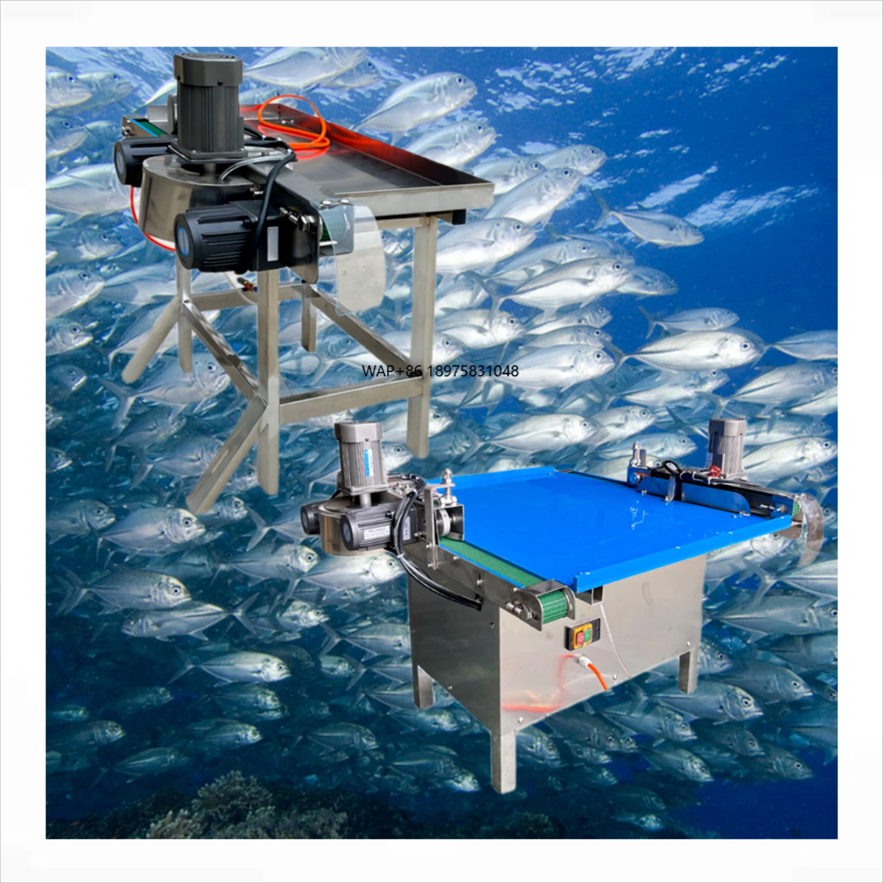 Fully automatic small white commercial fish killing machine Electric fish breaker for fish processing
Fully automatic small white commercial fish killing machine Electric fish breaker for fish processing