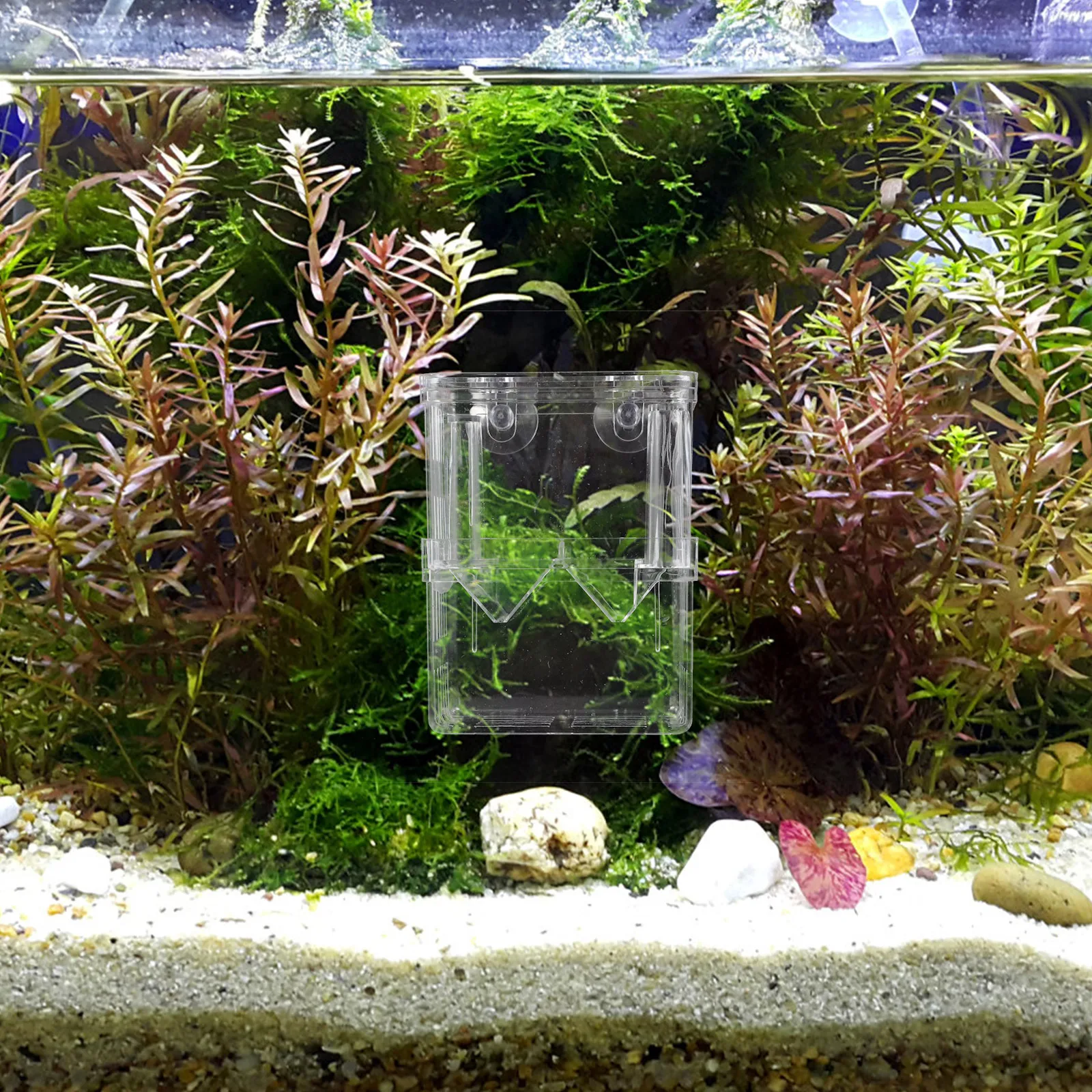 2Pcs Isolation Hatching Box Aquarium Fish Fry Hatchery Incubator Tank Hatching Plastic Baby Breeding Box Fish Tank
2Pcs Isolation Hatching Box Aquarium Fish Fry Hatchery Incubator Tank Hatching Plastic Baby Breeding Box Fish Tank