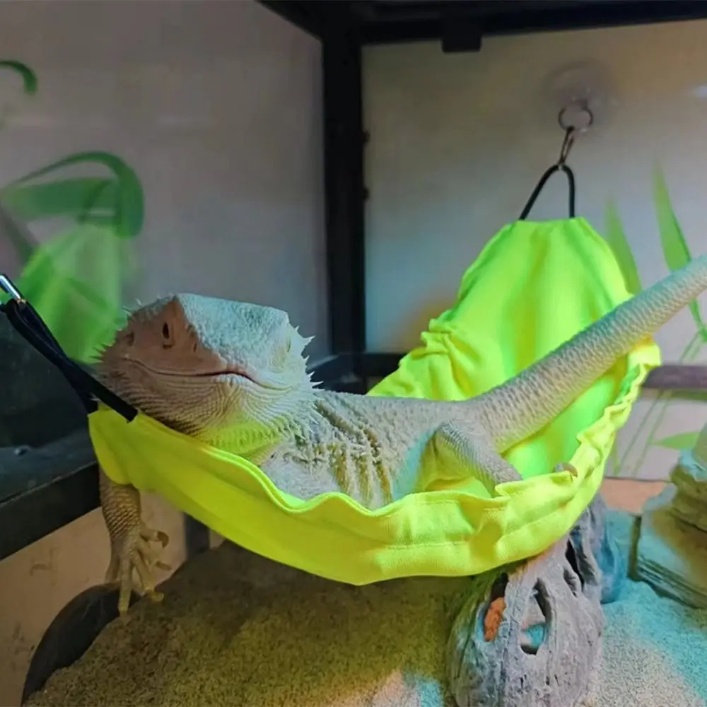 Reptile Bed Nest Decorative Reptile Hammock Oxford with Suction Cups Lizard Hanging Bed Cotton Lizard Swing Toy Pet Cage
Reptile Bed Nest Decorative Reptile Hammock Oxford with Suction Cups Lizard Hanging Bed Cotton Lizard Swing Toy Pet Cage