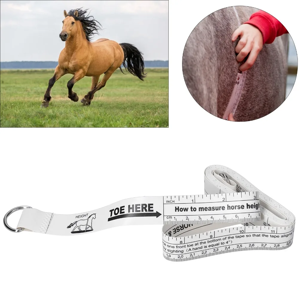 2Pcs PVC Horse Weight Tape Double Sided Scale Waterproof Horse Measuring Tape Durable 242cm Measuring Range
2Pcs PVC Horse Weight Tape Double Sided Scale Waterproof Horse Measuring Tape Durable 242cm Measuring Range