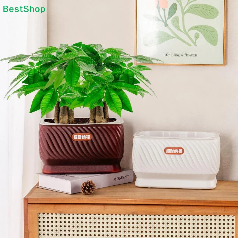 ☏Rectangular Self-Watering Planter Pot, Plastic Plant Container with Wave Pattern for Indoor Plants
☏Rectangular Self-Watering Planter Pot, Plastic Plant Container with Wave Pattern for Indoor Plants