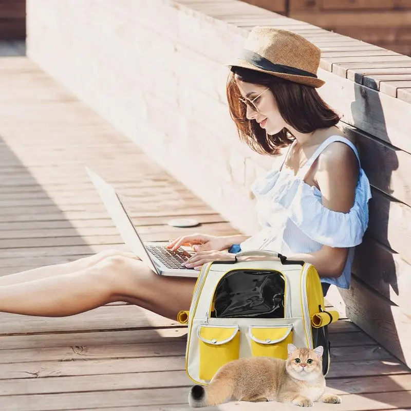 Pet Backpack Breathable Oxford Cloth Pet Cat Bag Backpack Heavy Duty Portable Travel Storage For Dogs & Pets Comfortable Hiking
Pet Backpack Breathable Oxford Cloth Pet Cat Bag Backpack Heavy Duty Portable Travel Storage For Dogs & Pets Comfortable Hiking