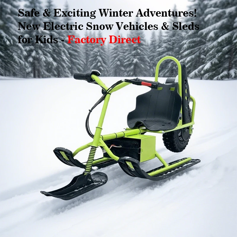 2026 Electric Disc Brake Off-Road Leisure Ice Rink Snowmobile Double ATV Children's Snowboard Load 60 kg 20 degree slope
2026 Electric Disc Brake Off-Road Leisure Ice Rink Snowmobile Double ATV Children's Snowboard Load 60 kg 20 degree slope