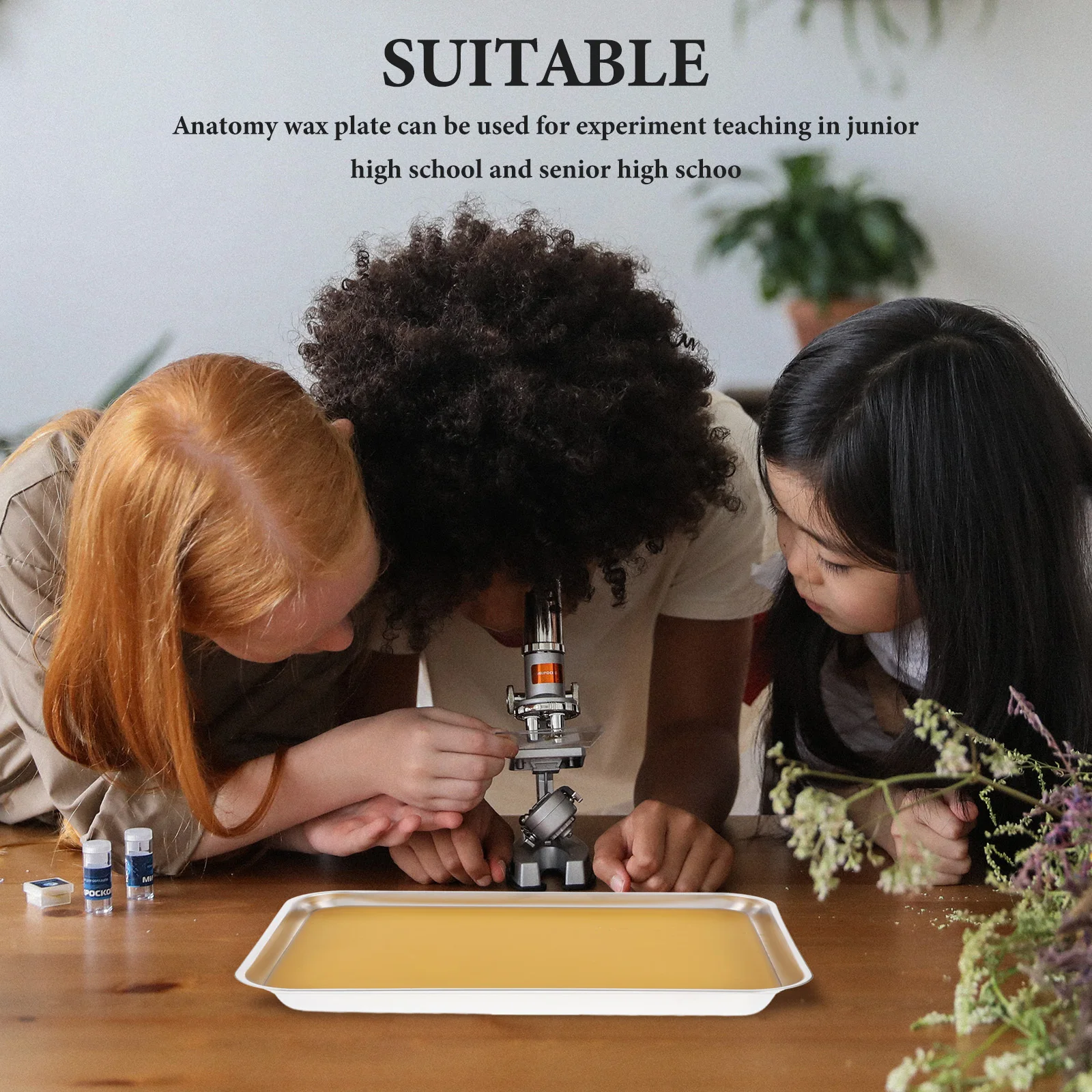 Stainless Steel Dissection Tray Wax Lined Metal Pan for Biology Middle High School Labs Dissecting Tray for Experiments
Stainless Steel Dissection Tray Wax Lined Metal Pan for Biology Middle High School Labs Dissecting Tray for Experiments