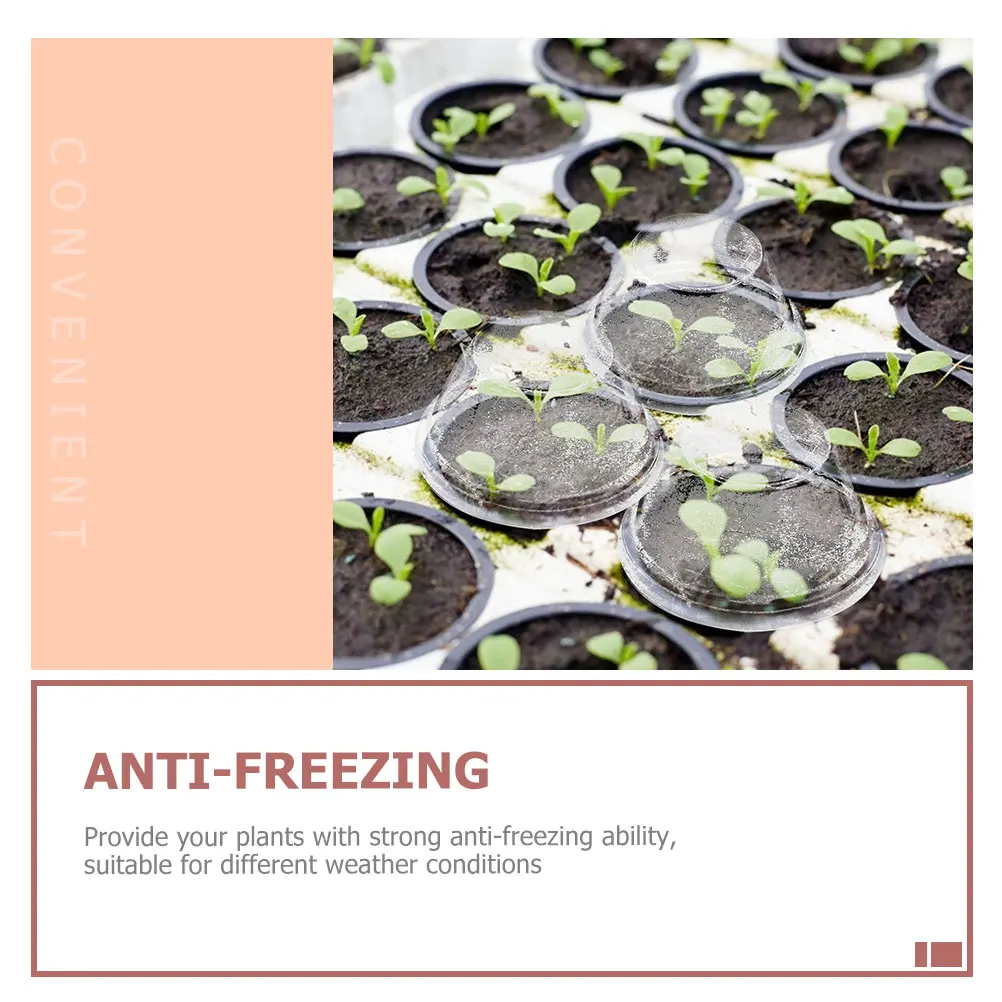 100pcs Moisture Retention Transparent Lid For Hydroponics Plant Cover Durable Plastic Soilless Garden Planting Grow
100pcs Moisture Retention Transparent Lid For Hydroponics Plant Cover Durable Plastic Soilless Garden Planting Grow