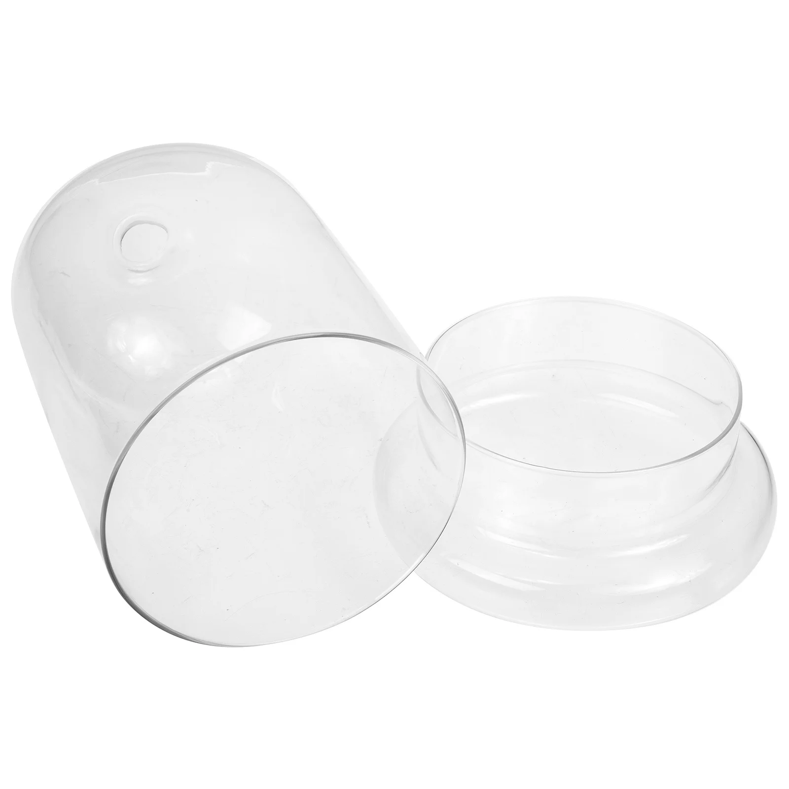 1Set Clear Glass Dome Eternal Flower Cover Artistic Home Decoration Gift for Festivals Eternal Flower Cover Glass Display Bell
1Set Clear Glass Dome Eternal Flower Cover Artistic Home Decoration Gift for Festivals Eternal Flower Cover Glass Display Bell