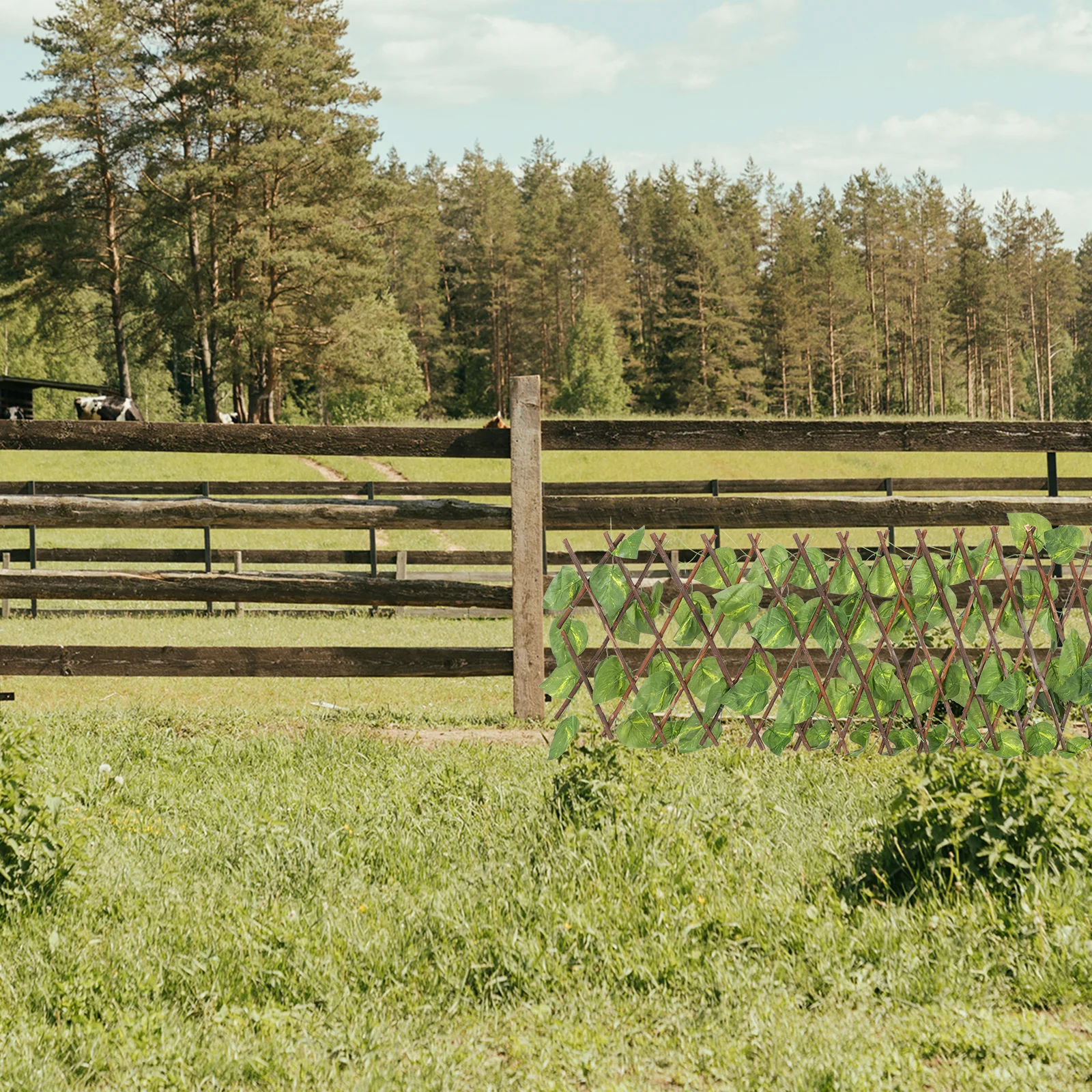 Artificial Leaf Fence Simulation Plastic Green Leaf Net Realistic Durable Fence Decor for Balcony Garden Wall Privacy Screen
Artificial Leaf Fence Simulation Plastic Green Leaf Net Realistic Durable Fence Decor for Balcony Garden Wall Privacy Screen