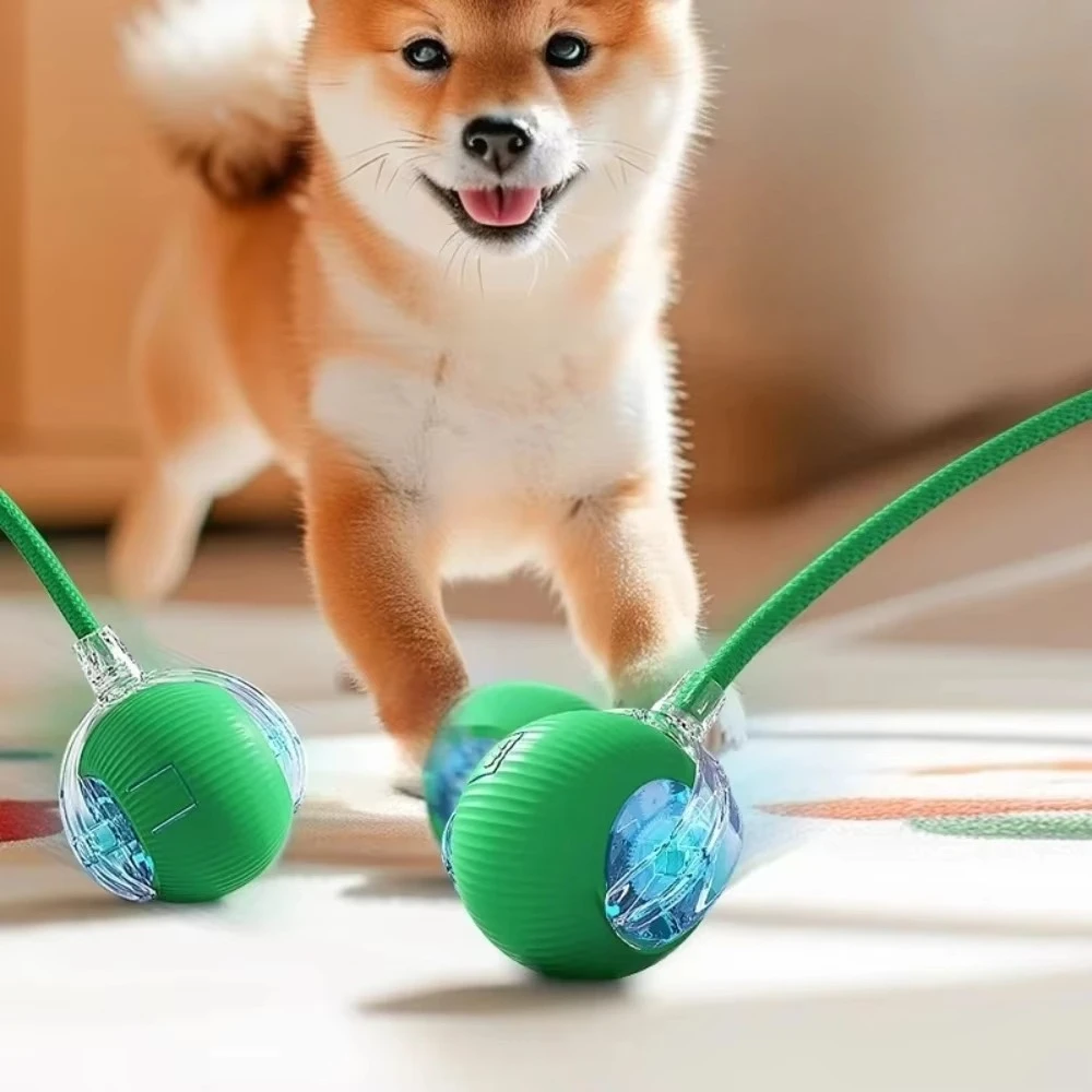 USB Charging Pet Dog Ball Toy, Electronic Interactive Rolling Ball with Simulated Tail for Dogs & Cats
USB Charging Pet Dog Ball Toy, Electronic Interactive Rolling Ball with Simulated Tail for Dogs & Cats