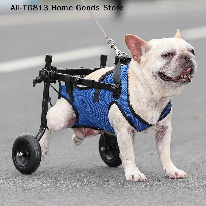 Adjustable Small Dog Wheelchair For Back Legs Disabled Pets Leg Brace Mobility Aid For Small Pets Hind Limb Rehabilitation Older
Adjustable Small Dog Wheelchair For Back Legs Disabled Pets Leg Brace Mobility Aid For Small Pets Hind Limb Rehabilitation Older