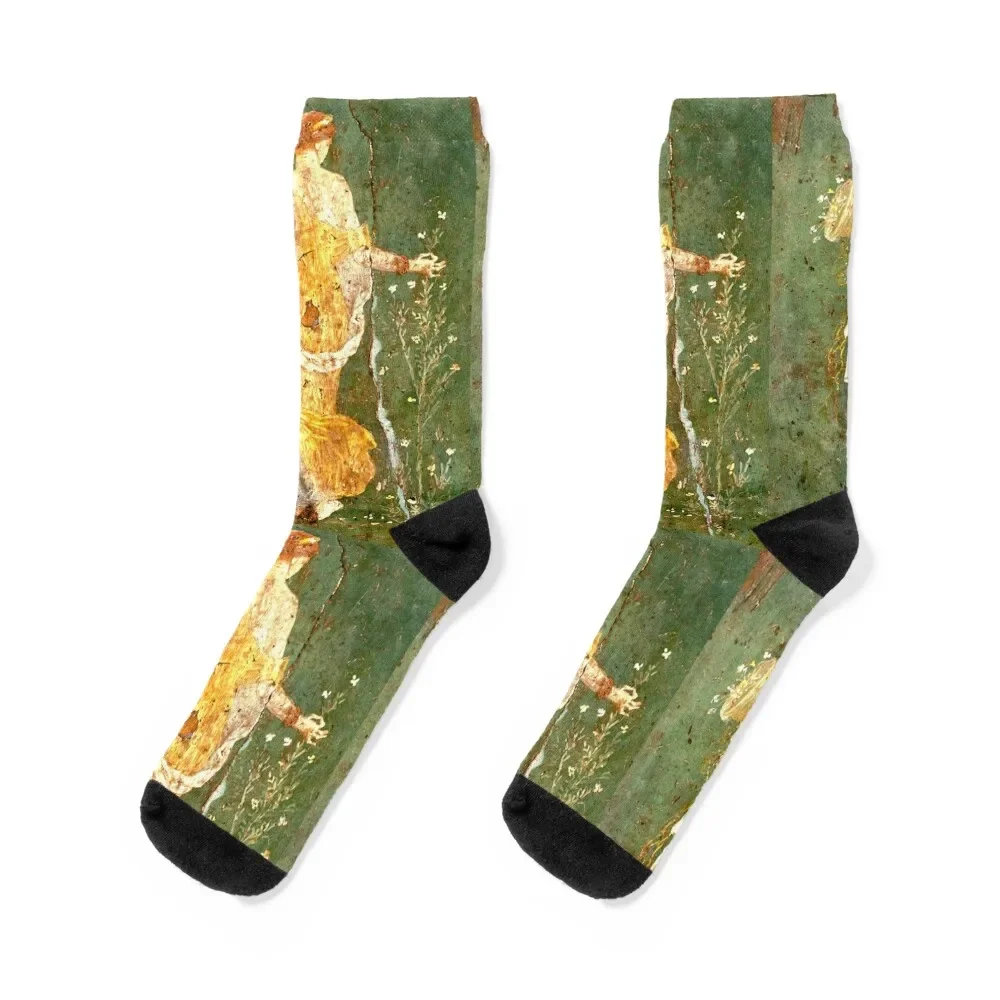 Flora or Primavera (Spring) Socks snow new year bright garter Girl'S Socks Men's
Flora or Primavera (Spring) Socks snow new year bright garter Girl'S Socks Men's