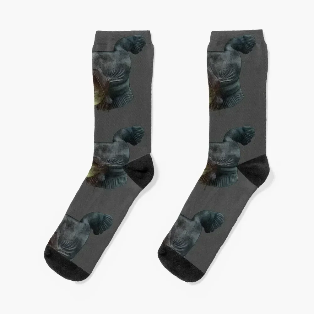 Catfish 2 Socks crazy Rugby gym Socks Male Women's
Catfish 2 Socks crazy Rugby gym Socks Male Women's