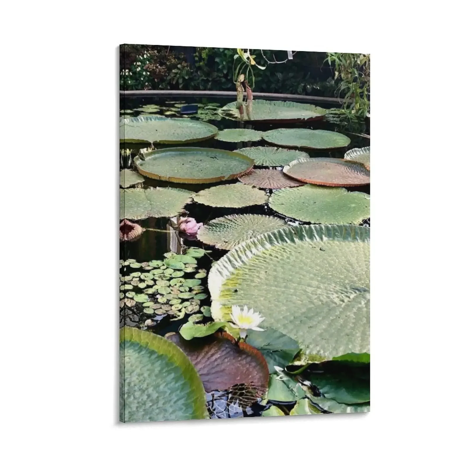 Water Lily Pad Canvas Painting decoration for the room house decoration poster aesthetic
Water Lily Pad Canvas Painting decoration for the room house decoration poster aesthetic