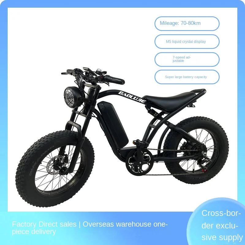 20 Inch Mountain Electric Retro Bike Retro Ebike 48V1000W Retro Electric Bike
20 Inch Mountain Electric Retro Bike Retro Ebike 48V1000W Retro Electric Bike
