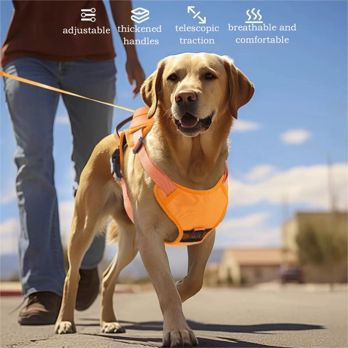 Dogs Explosion-proof Punch Breathable Dog Collar Harness for Small Medium Large Adjustable Pet Harness Vest Outdoor Training
Dogs Explosion-proof Punch Breathable Dog Collar Harness for Small Medium Large Adjustable Pet Harness Vest Outdoor Training