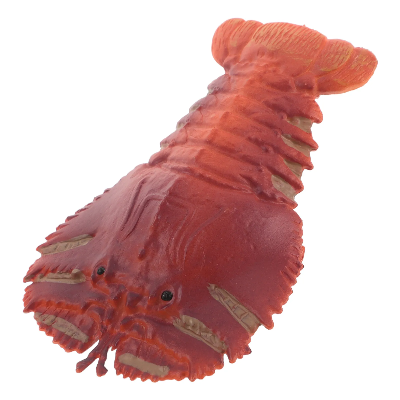 Realistic Mantis Shrimp Ornament Set Creative Marine Animal Desktop Decor for Beach Coastal Wall Nautical Table Ocean Learning
Realistic Mantis Shrimp Ornament Set Creative Marine Animal Desktop Decor for Beach Coastal Wall Nautical Table Ocean Learning