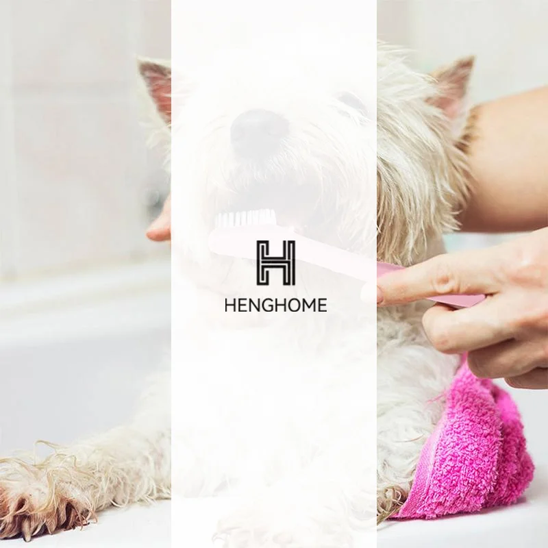 Plastic Pet Toothbrush, Cat And Dog Toothbrush, Pet Supplies, Toothbrush, Oral Hygiene
Plastic Pet Toothbrush, Cat And Dog Toothbrush, Pet Supplies, Toothbrush, Oral Hygiene