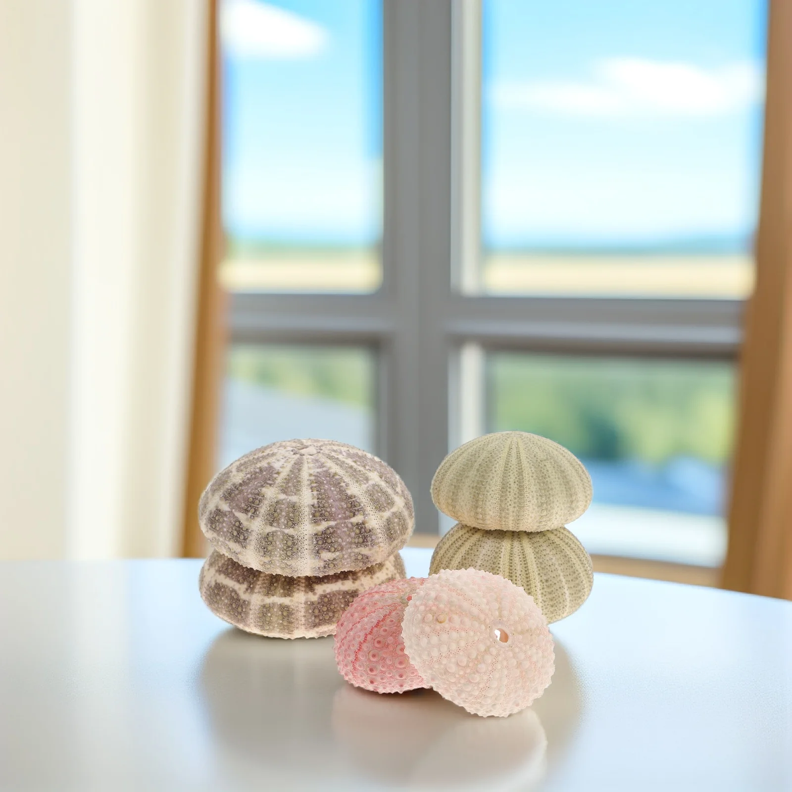 6 Pcs Urchin Fish Tank Plant Holder Sea Shell Decorations DIY Gardening Shells Stand
6 Pcs Urchin Fish Tank Plant Holder Sea Shell Decorations DIY Gardening Shells Stand