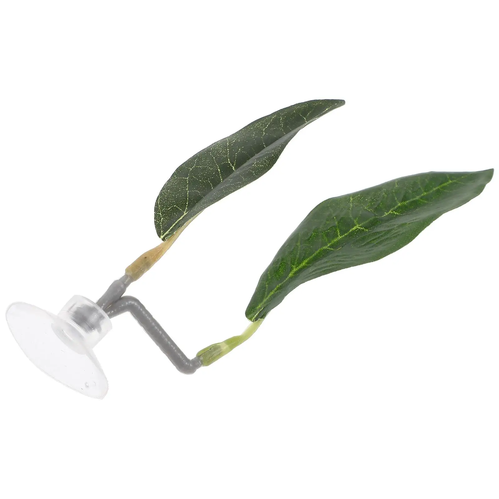 Simulated Aquatic Grass Leaves Betta Fish Bed Hammock Tank Decor Plastic Resting Leaf Pad Fish Hideout Betta Leaf Decor
Simulated Aquatic Grass Leaves Betta Fish Bed Hammock Tank Decor Plastic Resting Leaf Pad Fish Hideout Betta Leaf Decor