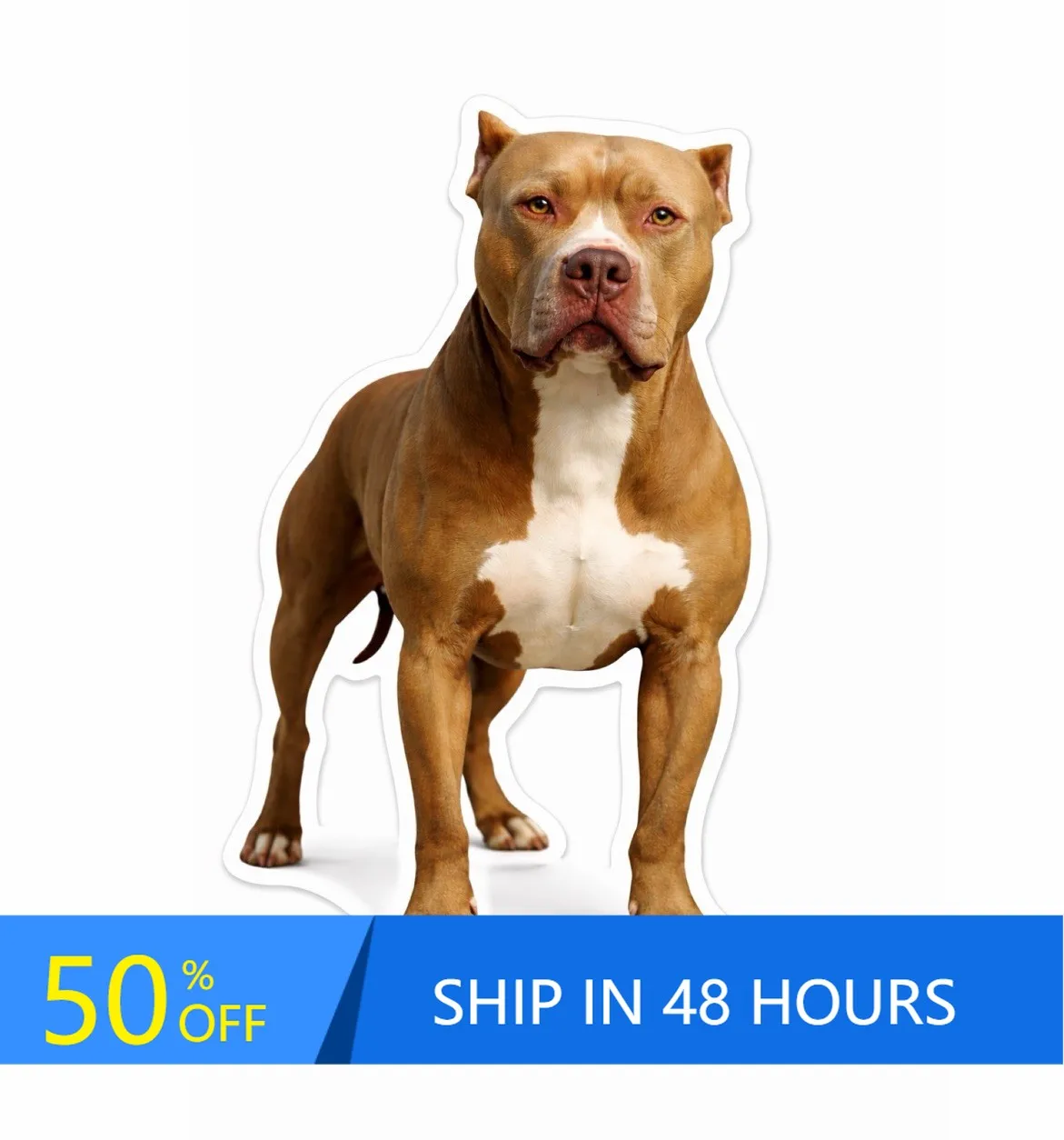American Pit Bull Bully Unique Motor Home Walls Bumper Window Sticker Retro Funny Aesthetic Trendy
American Pit Bull Bully Unique Motor Home Walls Bumper Window Sticker Retro Funny Aesthetic Trendy