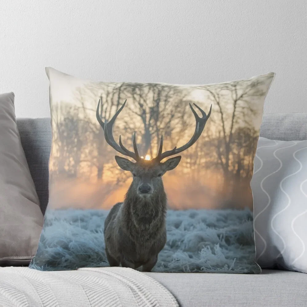 Golden Shot Throw Pillow Cushions For Children ornamental pillows for living room
Golden Shot Throw Pillow Cushions For Children ornamental pillows for living room