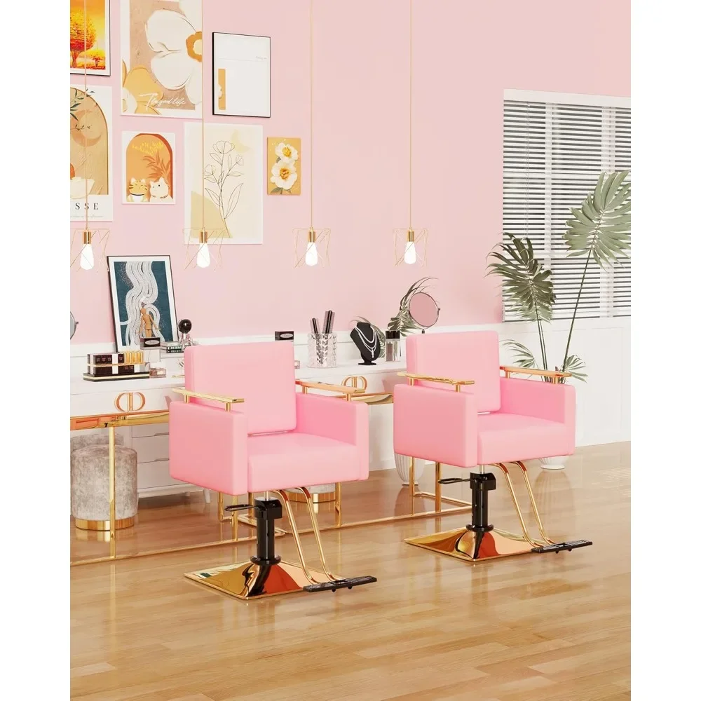 Salon Chair with Stainless Steel Armrest, Salon Styling Chairs for Hair Stylist, Hydraulic Chairs, Barber Chair
Salon Chair with Stainless Steel Armrest, Salon Styling Chairs for Hair Stylist, Hydraulic Chairs, Barber Chair