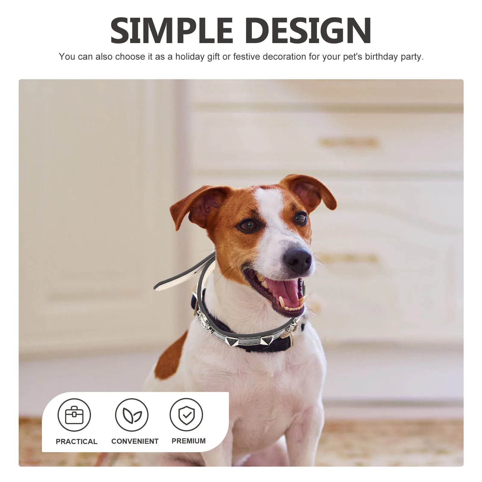 Halloween Cat Collar Punk Skull Design Adjustable Pet Necklace Durable PU Material for Cats Rabbits Puppies Alpacas
Halloween Cat Collar Punk Skull Design Adjustable Pet Necklace Durable PU Material for Cats Rabbits Puppies Alpacas