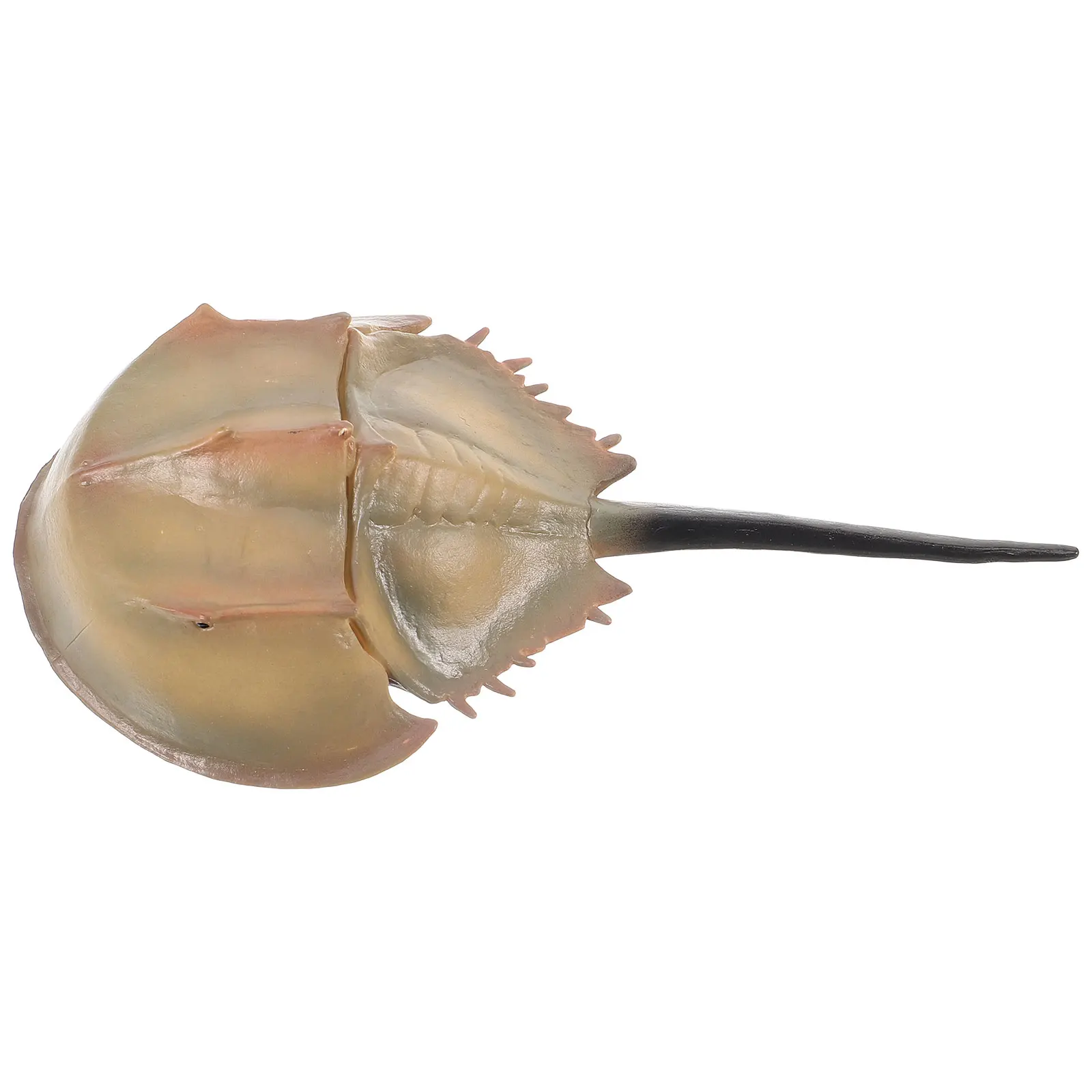 Simulated Horseshoe Fish Decoration Lifelike PVC Artificial Adornment for Fish Tank Large Aquarium Props Photo
Simulated Horseshoe Fish Decoration Lifelike PVC Artificial Adornment for Fish Tank Large Aquarium Props Photo