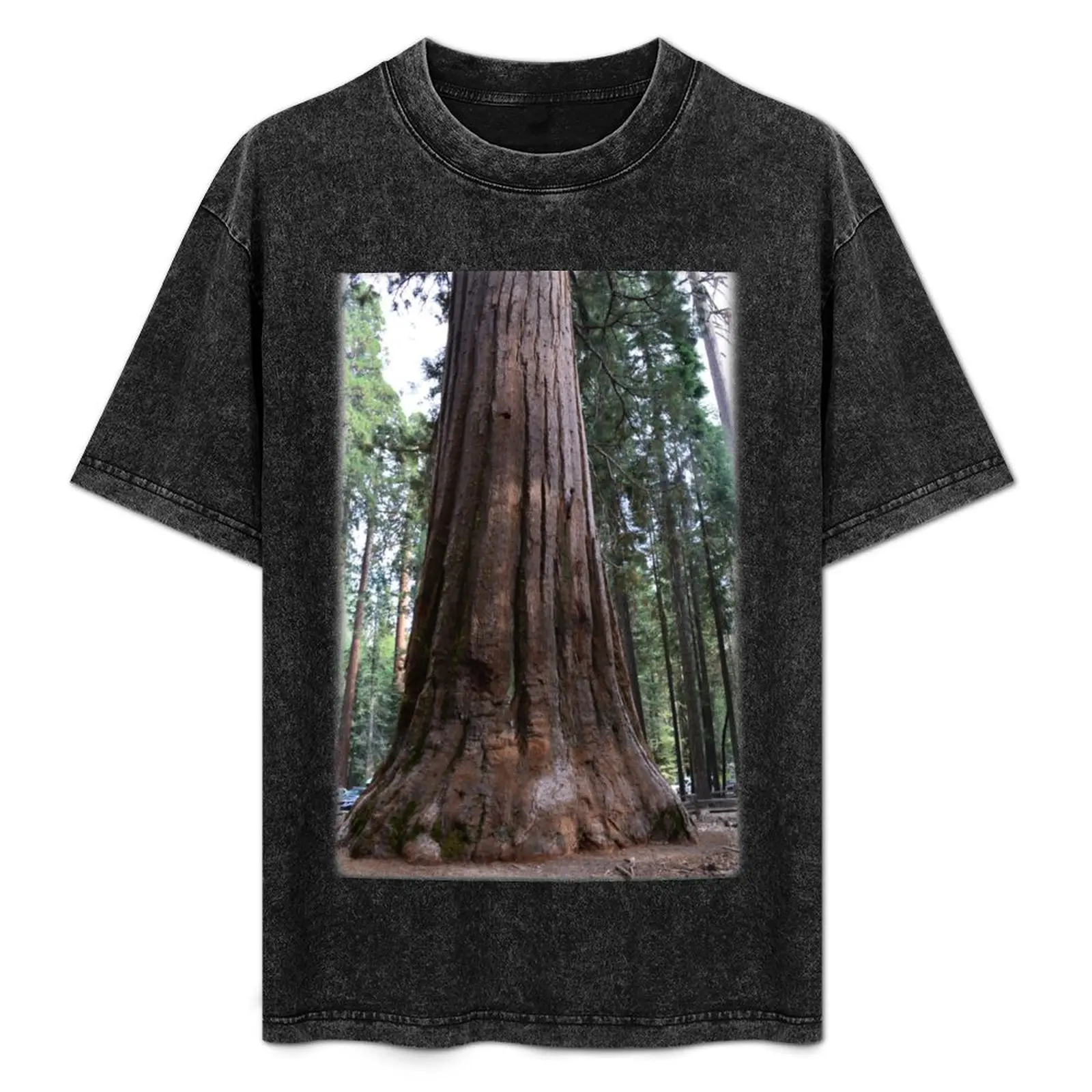California giant sequoia redwood tree. T-Shirt oversize t-shirts man custom t-shirts blacks Louboutins mens t shirt
California giant sequoia redwood tree. T-Shirt oversize t-shirts man custom t-shirts blacks Louboutins mens t shirt