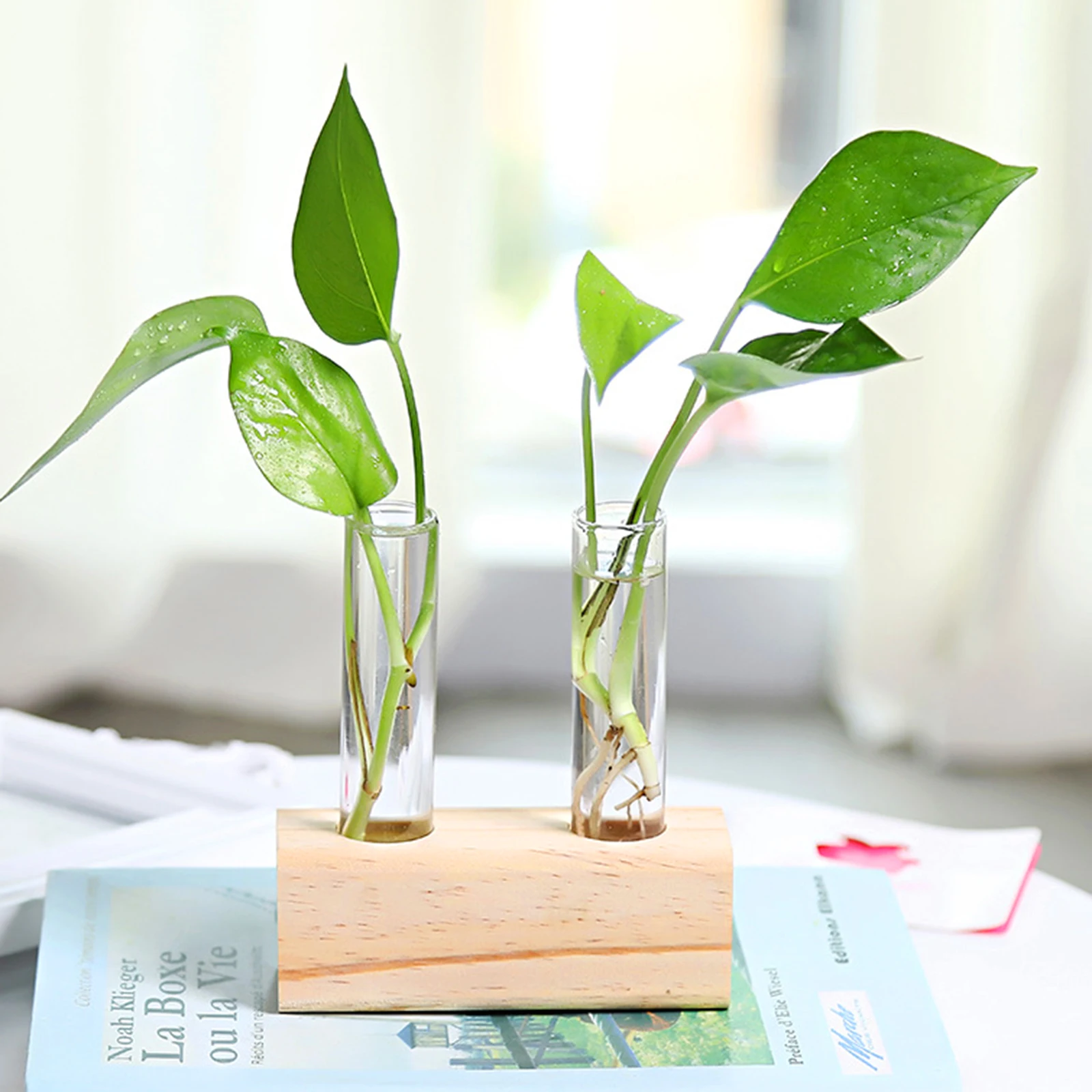 Premium Hydroponic Transparent Propagation Tube Desktop Terrarium Small Clear Vase For Home Office Decor Household 
Premium Hydroponic Transparent Propagation Tube Desktop Terrarium Small Clear Vase For Home Office Decor Household