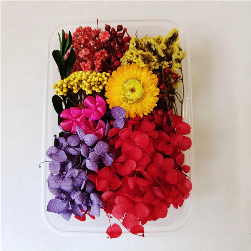 Mixed Kit of DIY Materials Natural Dried Flower Fragrance Sachet Lavender Rose Aromatherapy Dried Flower Sachet Bag Material
Mixed Kit of DIY Materials Natural Dried Flower Fragrance Sachet Lavender Rose Aromatherapy Dried Flower Sachet Bag Material