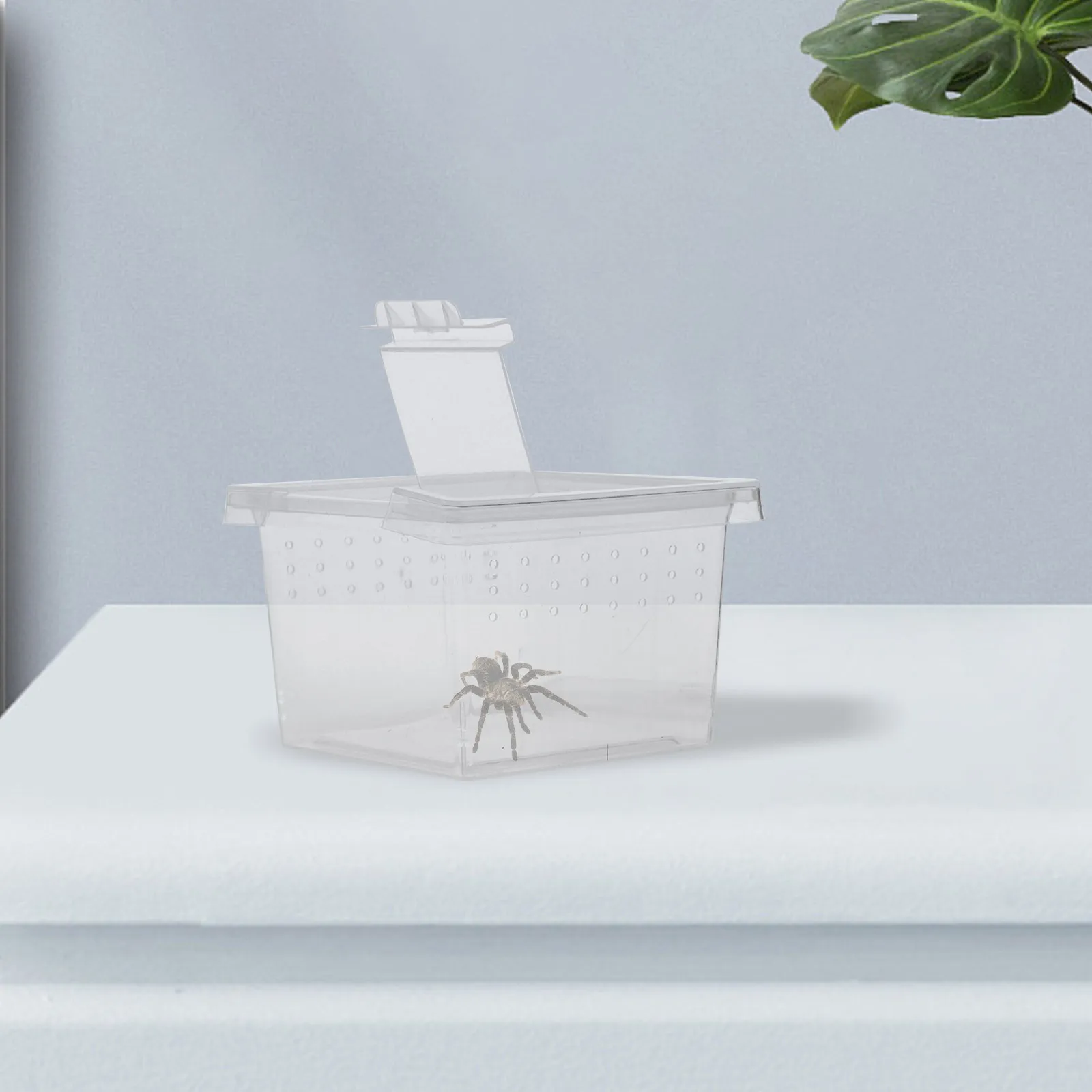 20pcs Insect Feeding Box Transparent Small Enclosure For Spider Tarantula Gecko Snail Habitat Breathing Portable Observation
20pcs Insect Feeding Box Transparent Small Enclosure For Spider Tarantula Gecko Snail Habitat Breathing Portable Observation