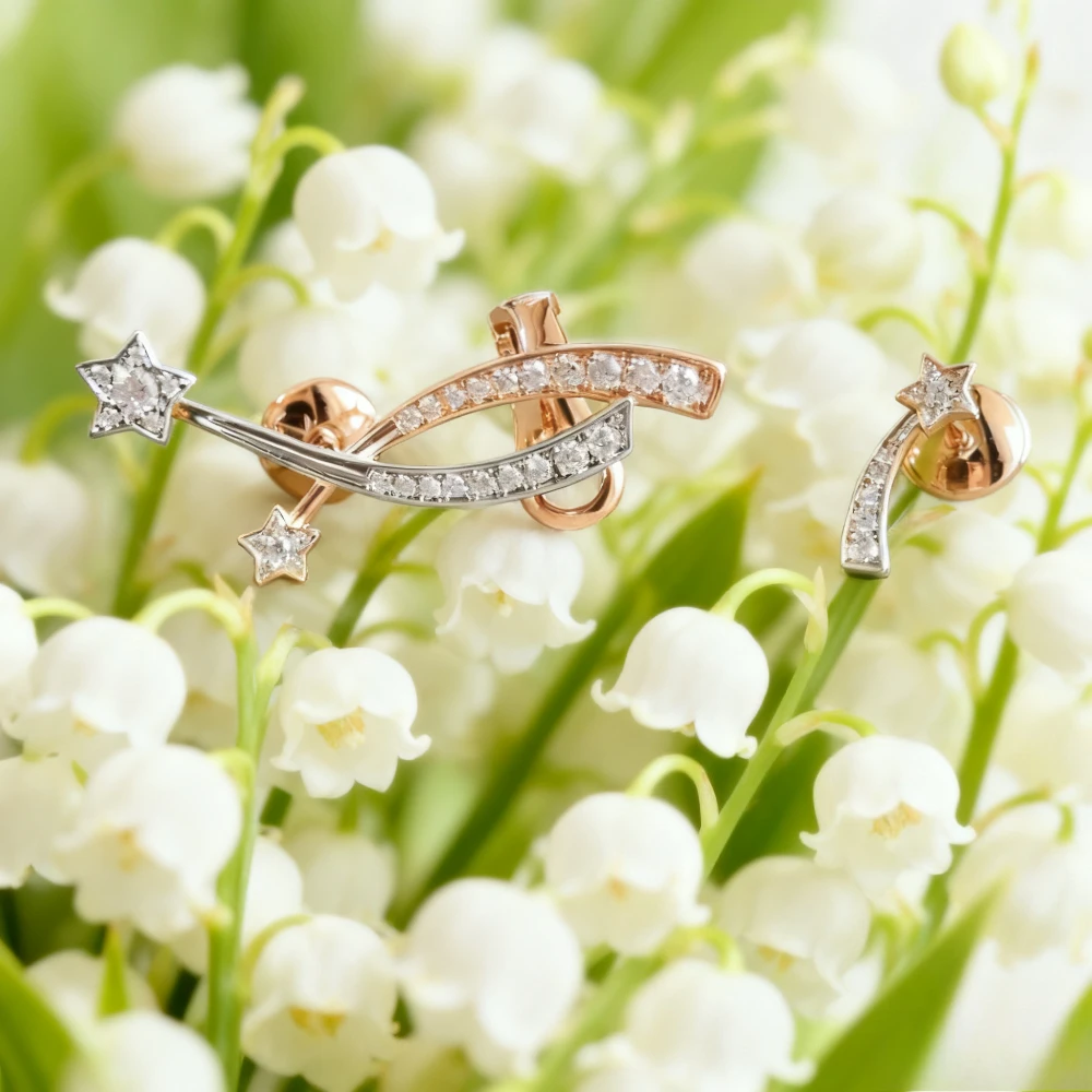 2025 New Elegant accessories Brand Pure Jewelry Star Ear Cuff Earrings Lozenge Design Wedding Nich Party Silver Luxury Quality
2025 New Elegant accessories Brand Pure Jewelry Star Ear Cuff Earrings Lozenge Design Wedding Nich Party Silver Luxury Quality