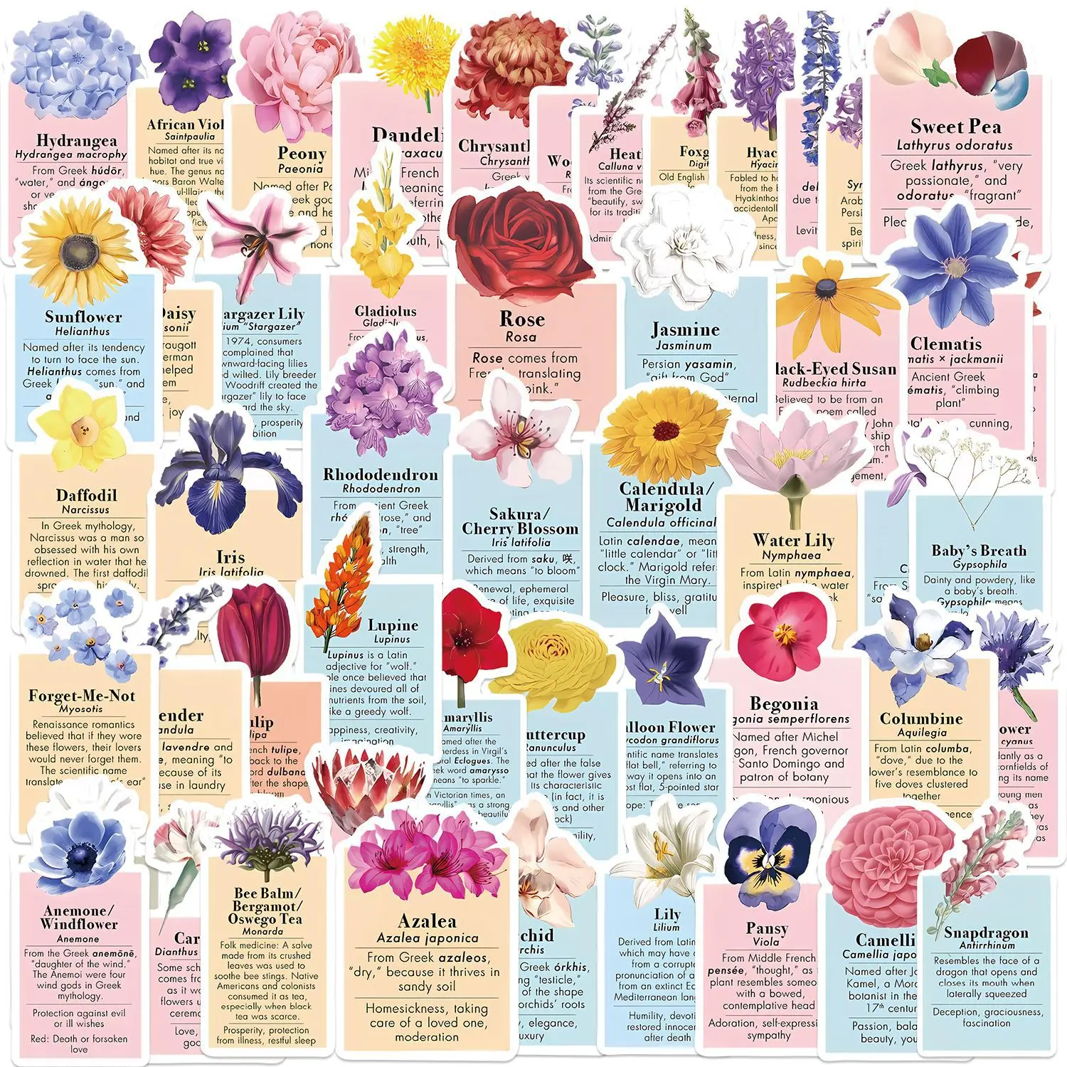 50Pcs INS Style Flower Language Series Stickers Suitcase Phone Case Water Bottle Waterproof Decoration Diy Sticker Packs
50Pcs INS Style Flower Language Series Stickers Suitcase Phone Case Water Bottle Waterproof Decoration Diy Sticker Packs