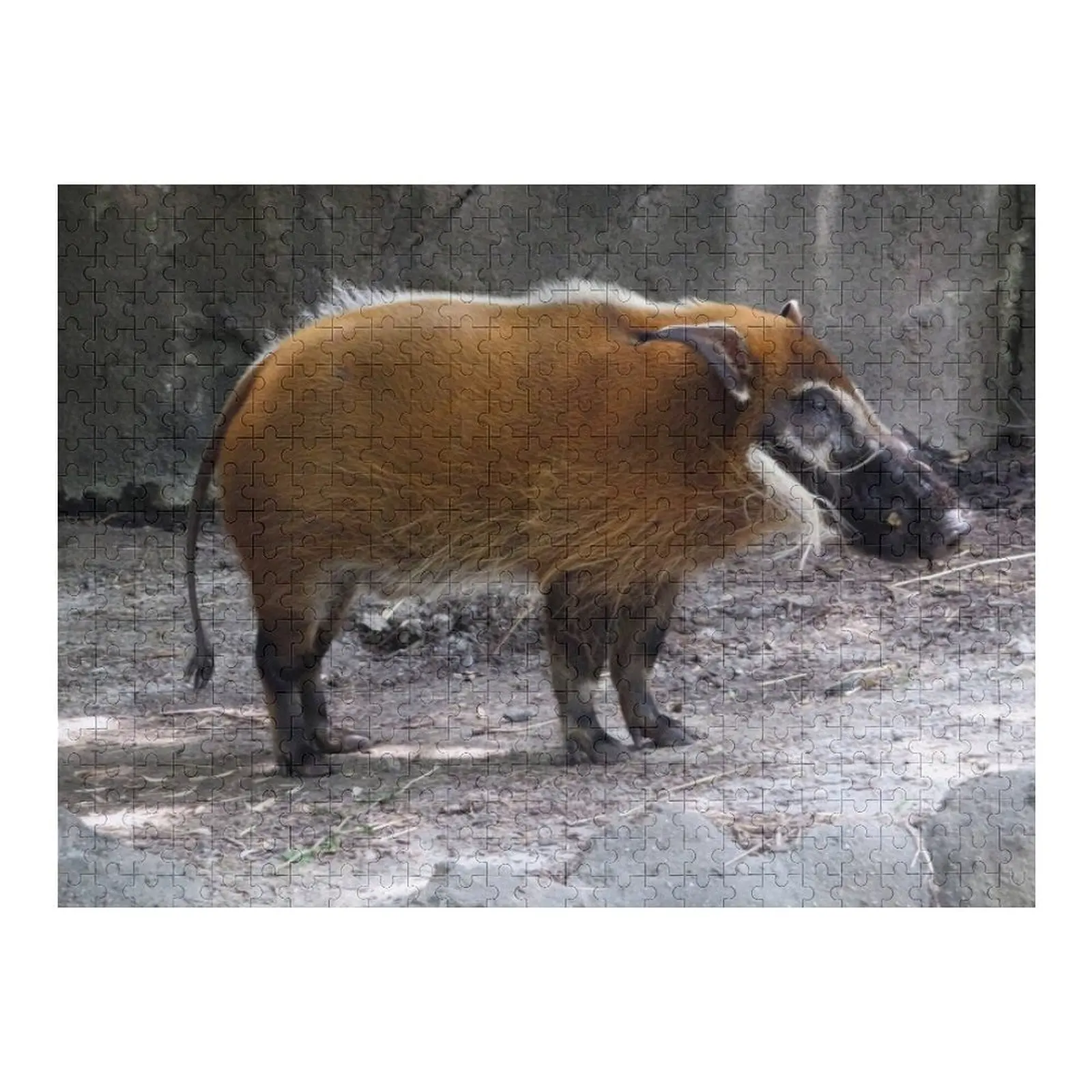 Yep, A Red River Hog Norfolk Virginia Zoo Jigsaw Puzzle Personalized Name Customizeds For Kids Custom Photo Photo Puzzle
Yep, A Red River Hog Norfolk Virginia Zoo Jigsaw Puzzle Personalized Name Customizeds For Kids Custom Photo Photo Puzzle