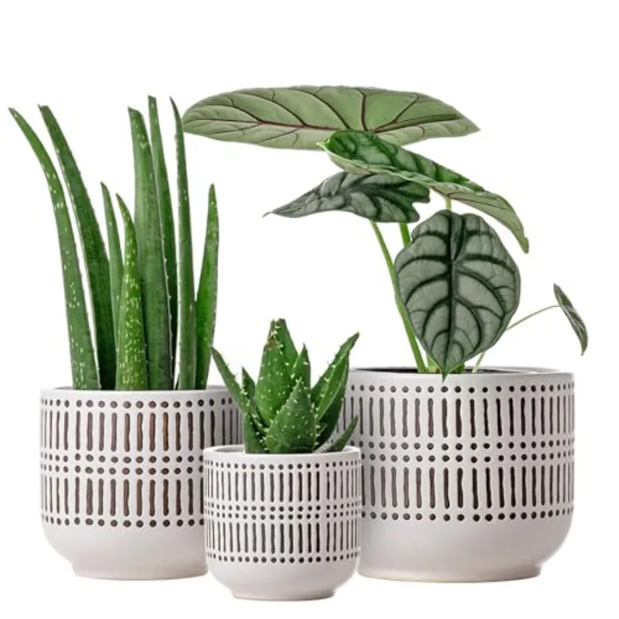 3-Pack Ceramic Planters Set - 6.5"+5.3"+4" Dual-Tone Flower Pots with Drainage Holes, Modern Indoor Outdoor Planters for Succul
3-Pack Ceramic Planters Set - 6.5"+5.3"+4" Dual-Tone Flower Pots with Drainage Holes, Modern Indoor Outdoor Planters for Succul
