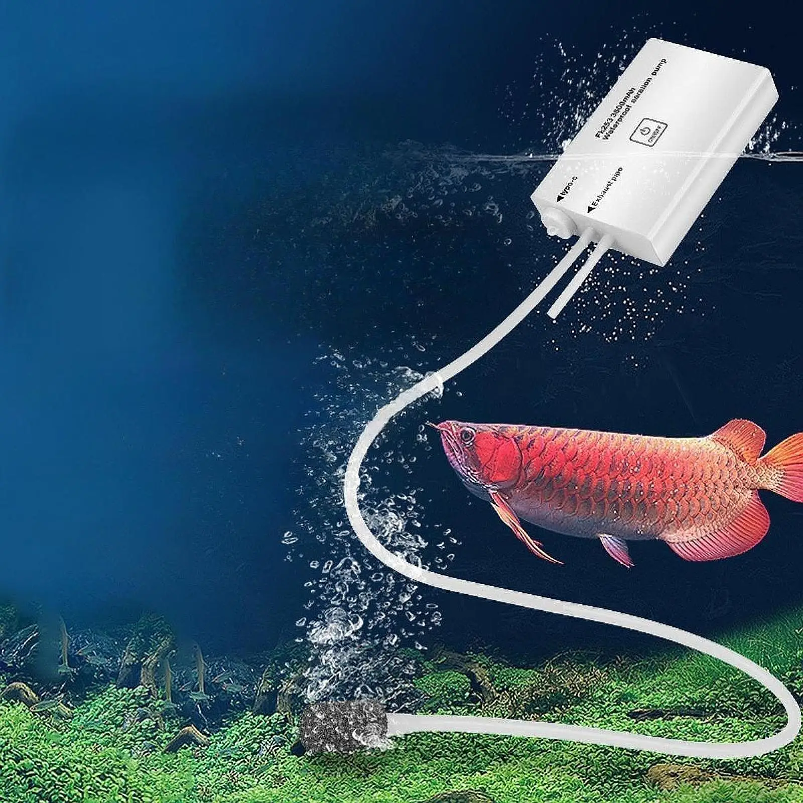 Аквариумный воздушный насос, легкий, тихий, многофункциональный мини-аэратор для аквариума, барботер для аквариума, гидропоники, аквариумы, пруды, коммерческие
Аквариумный воздушный насос, легкий, тихий, многофункциональный мини-аэратор для аквариума, барботер для аквариума, гидропоники, аквариумы, пруды, коммерческие