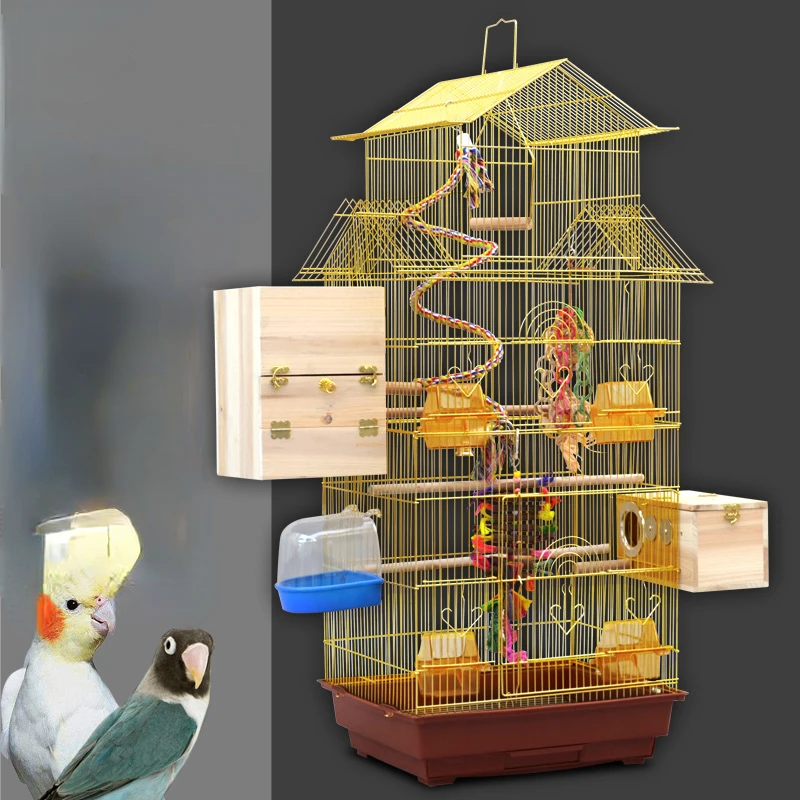 Голубь, попугай, птица, кормушка, большая кормушка, кормушка, Budgie, птицы, клетки, игрушки для улицы, Gaiola De passarinha, товары для домашних животных YY50BC
Голубь, попугай, птица, кормушка, большая кормушка, кормушка, Budgie, птицы, клетки, игрушки для улицы, Gaiola De passarinha, товары для домашних животных YY50BC