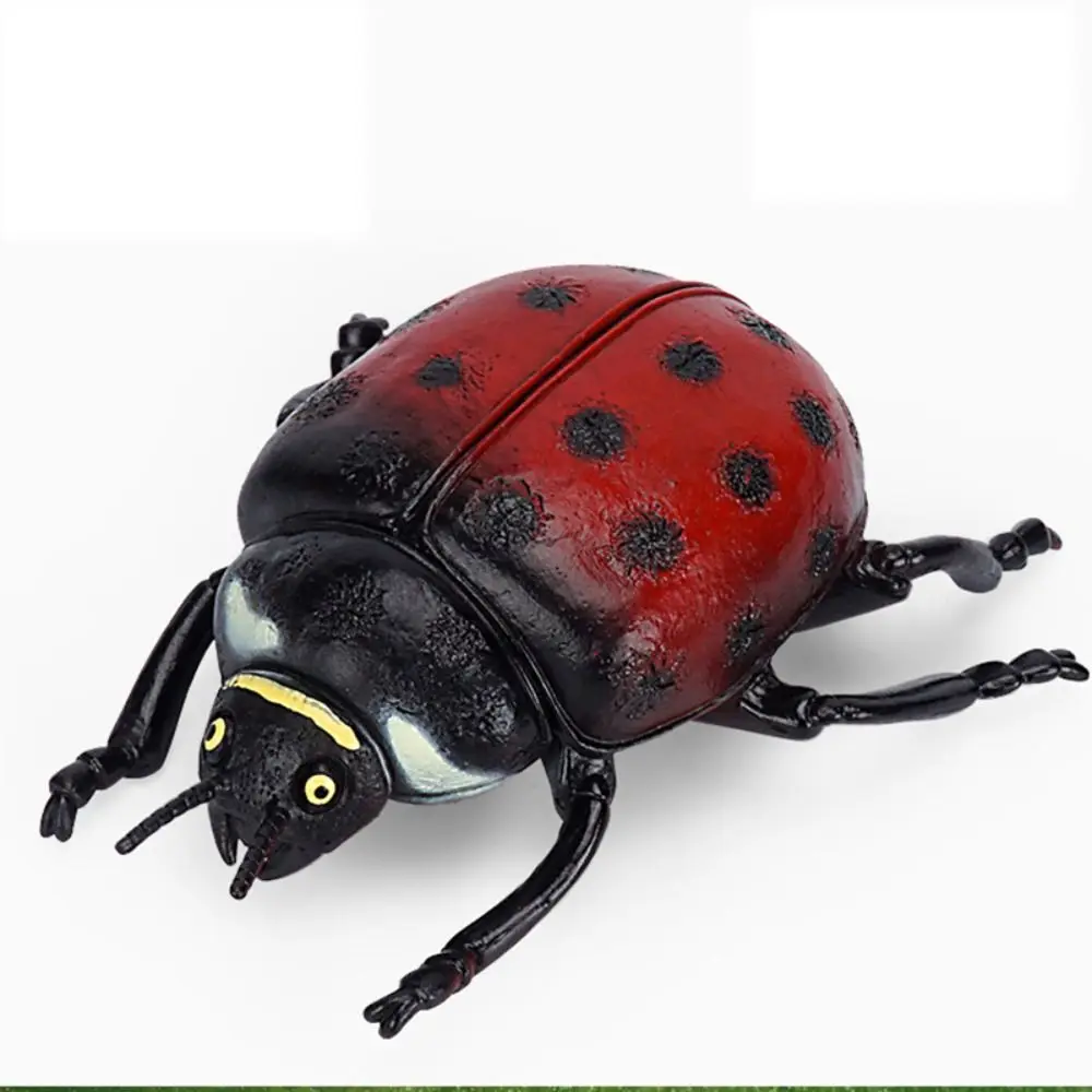 Science Toy Spiders Simulated Insect Model Cricket Simulation Simulation Wildlife Model PVC Insect Model Animal Collection
Science Toy Spiders Simulated Insect Model Cricket Simulation Simulation Wildlife Model PVC Insect Model Animal Collection