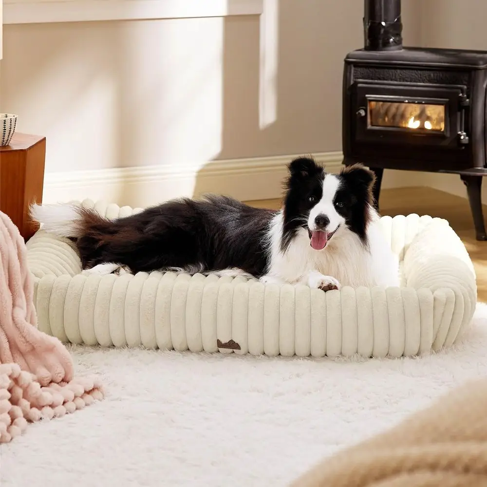 X-Large Washable Orthopedic Dog Bed with Removable Cover, 43x30x8in, Cream
X-Large Washable Orthopedic Dog Bed with Removable Cover, 43x30x8in, Cream