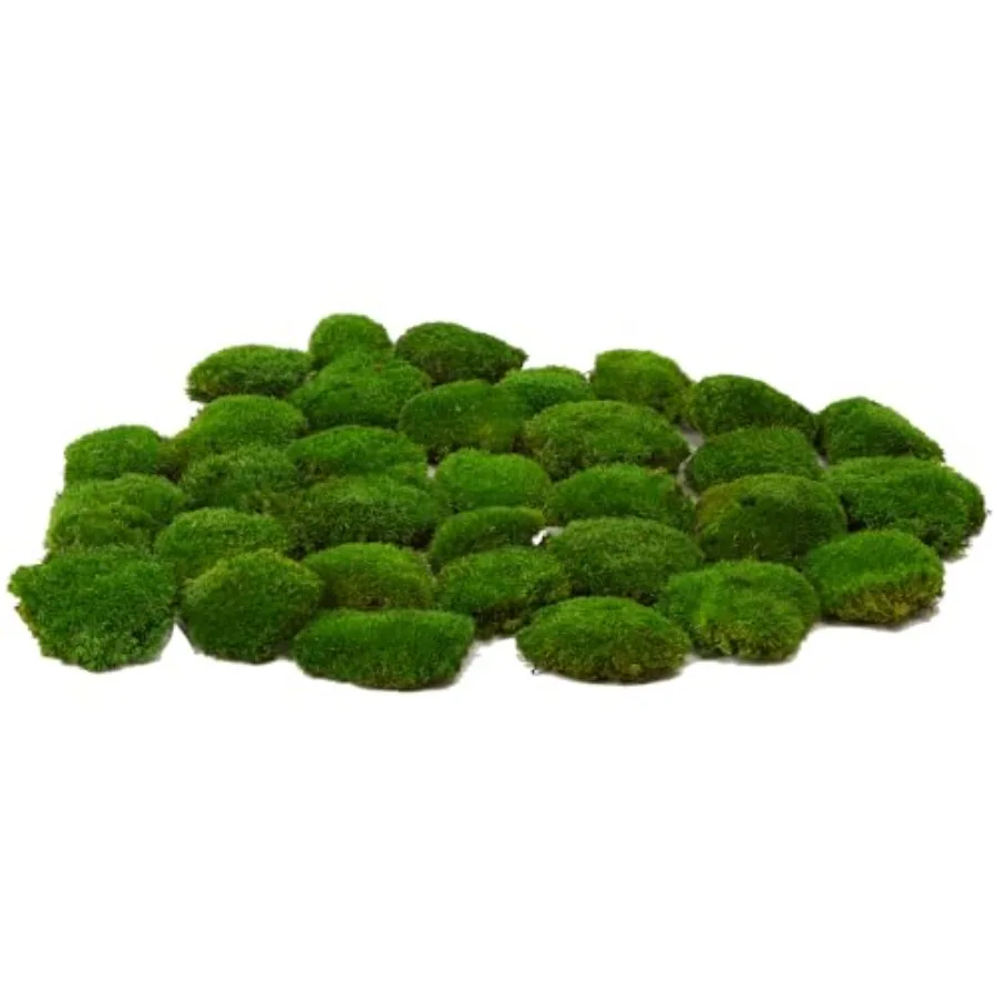 Preserved Pole Moss Pillow Bun Cushion Natural Green Decorative Real Natural DIY Kit Gardenning Art Wall Decor Florist Easter T
Preserved Pole Moss Pillow Bun Cushion Natural Green Decorative Real Natural DIY Kit Gardenning Art Wall Decor Florist Easter T