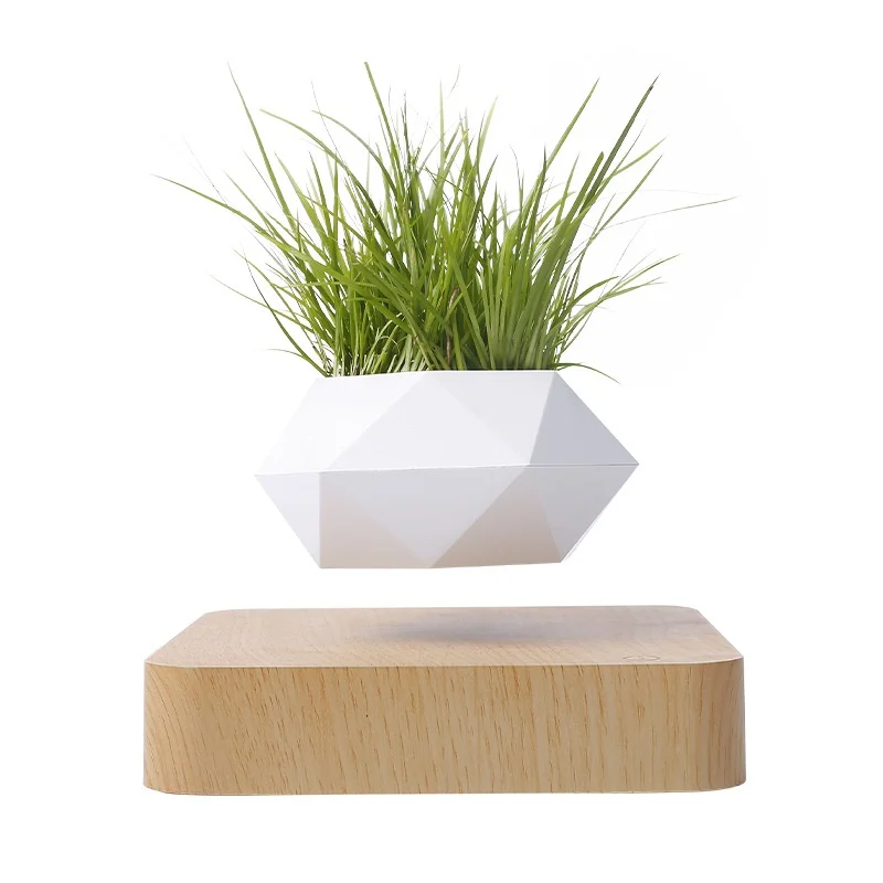 Creative Wooden Magnetic Levitation Bonsai Flower Pot Floating Plant for Special Gift Item Novelty Gifts
Creative Wooden Magnetic Levitation Bonsai Flower Pot Floating Plant for Special Gift Item Novelty Gifts