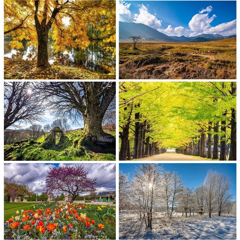 SHENGYONGBAO Natural Scenery Photography Background Spring Landscape Travel Photo Backdrops Studio Props 21420 CDE-01
SHENGYONGBAO Natural Scenery Photography Background Spring Landscape Travel Photo Backdrops Studio Props 21420 CDE-01