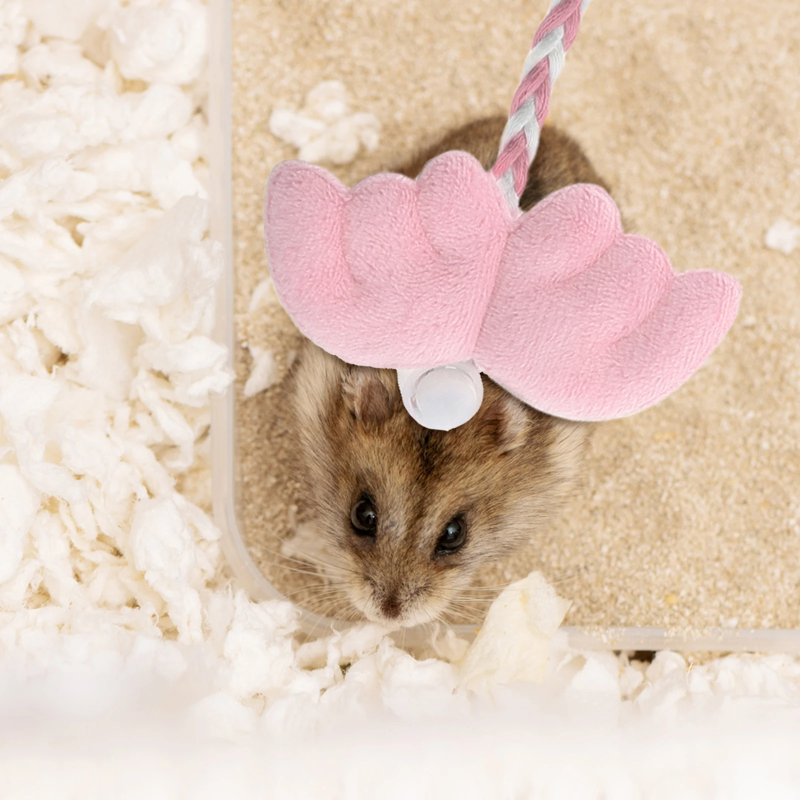 Little Pet Traction Rope Guinea Pig Harness Pocket Rat and Leash Polyester Squirrel
Little Pet Traction Rope Guinea Pig Harness Pocket Rat and Leash Polyester Squirrel