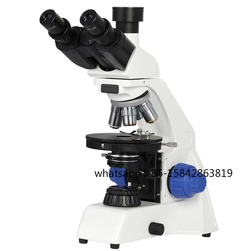 High Definition Simple Polarizing Microscope Fibrous Material Rock Image Observation Crystal
High Definition Simple Polarizing Microscope Fibrous Material Rock Image Observation Crystal